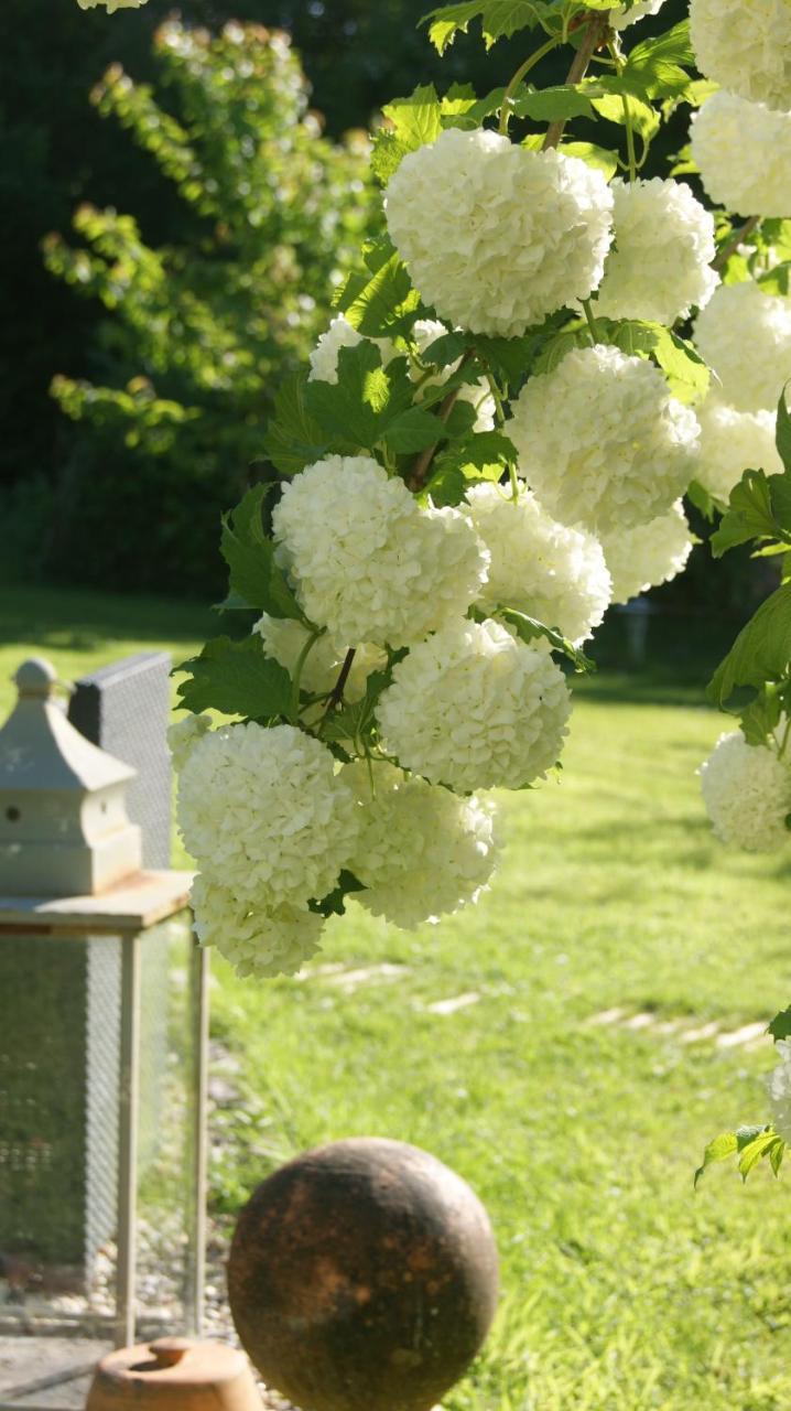 Un Parfum De Violette Bed & Breakfast Fourneville Luaran gambar